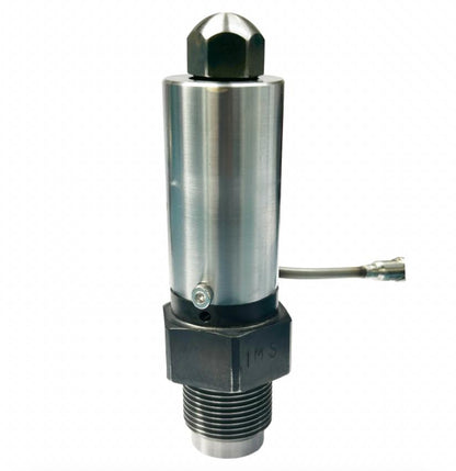 Internally Heated Nozzle